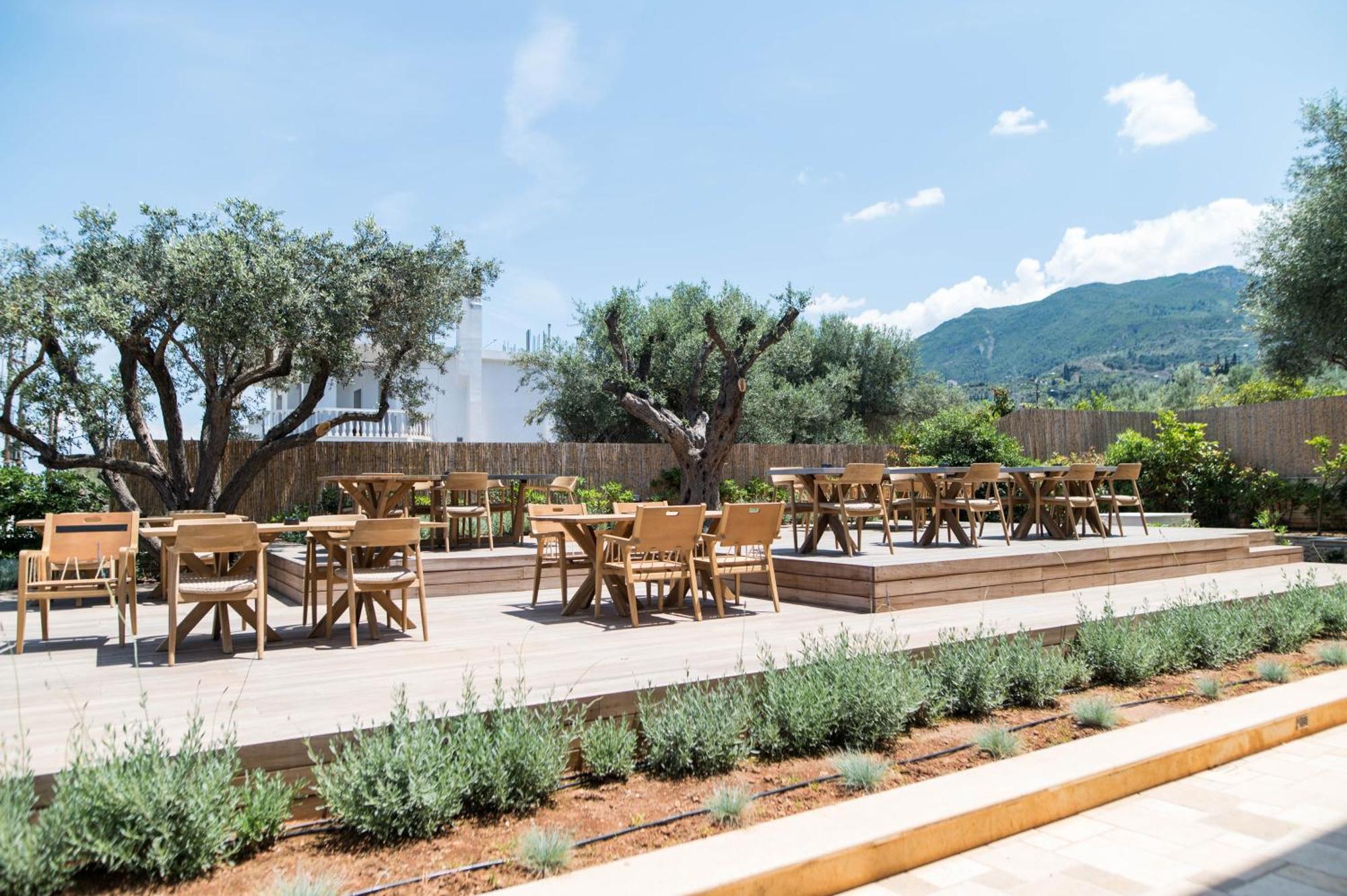 Alissachni Seaside Hotel Derveni Exterior photo