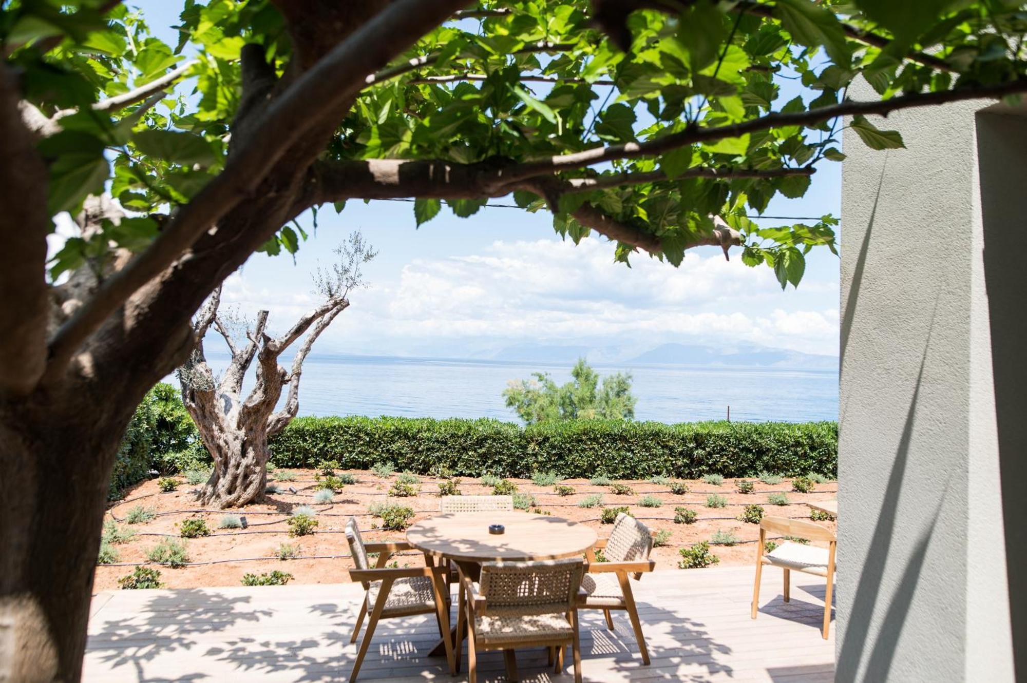 Alissachni Seaside Hotel Derveni Exterior photo